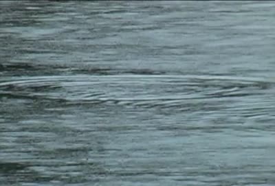 Chenega CPR Training