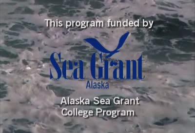 Ocean Fury: Tsunamis in Alaska