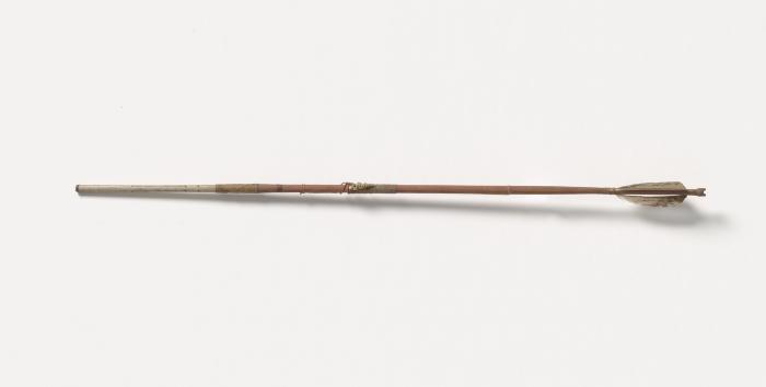 Harpoon arrow