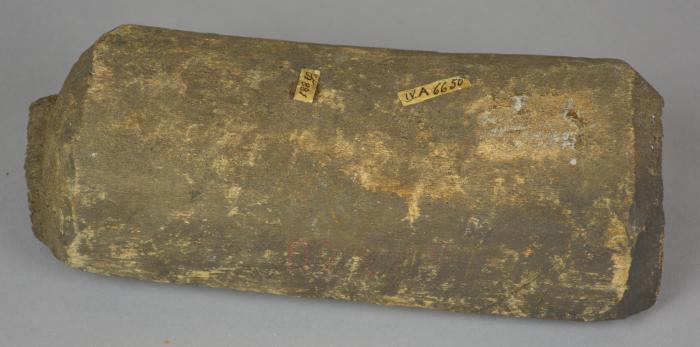 whale bone (fragment)