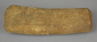 whale bone (fragment)
